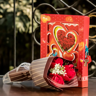 Red Mirage of Love