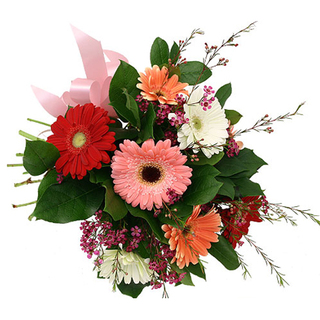 Mixed Gerbera Basket