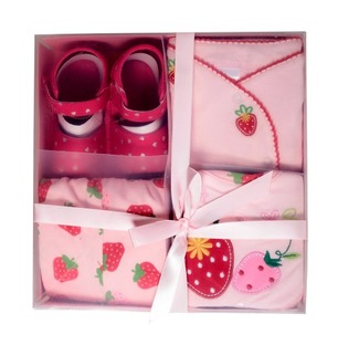 New Born Hampers- Baby Girl