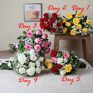 5 Days of Ravishing Roses