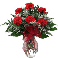 Valentine Red Carnation Vase