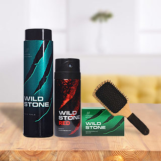 Wild Stone Hamper for Men