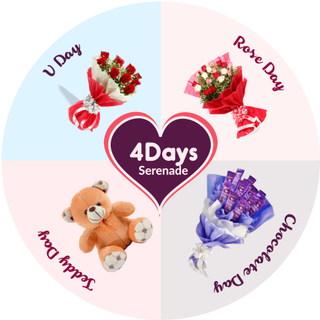 Valentine Serenade- 4 Day Serenade