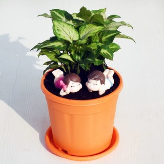 Joyful Moments - Miniature Garden