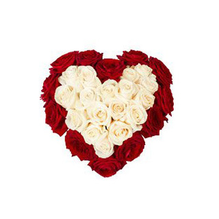Red & White Roses Heart
