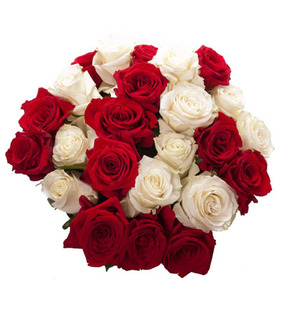 Red & White Roses