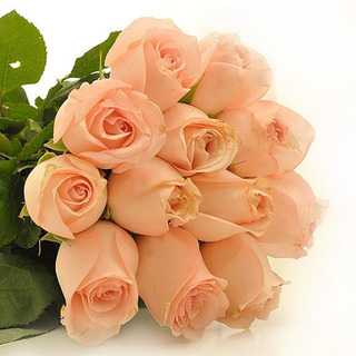 Valentine Peach Roses Bouquet
