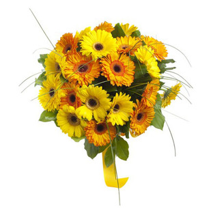 Valentine Yellow Gerbera Bouquet