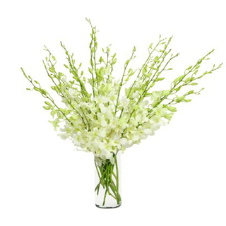 White Orchids Vase