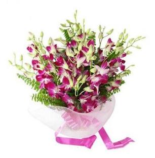 Purple Orchid Bunch