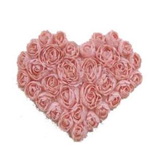 Peach Roses Heart