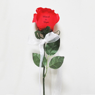 Single Red Flower with Text