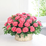 Pink Carnations Basket Large