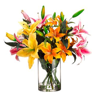 Mixed Lily In Vase