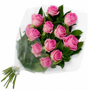 Beautiful Pink
