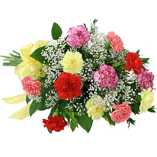 Mixed Carnation Basket