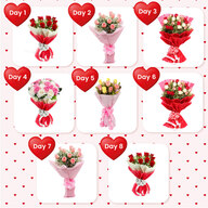 Valentine Serenade - 8 Days of Love