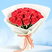 Roses - Flowers