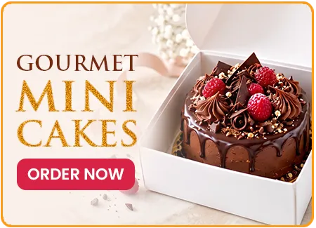 Gourmet Bento Cakes