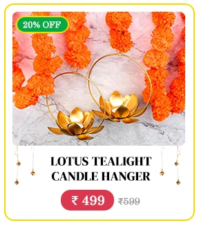 Dry Fruit Assorted Delight