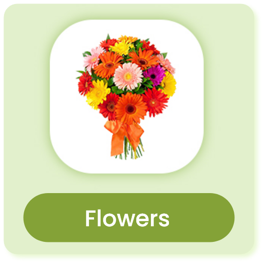 FLOWERA | Online Flower, cake, & Chocolate delivery in PAN India |