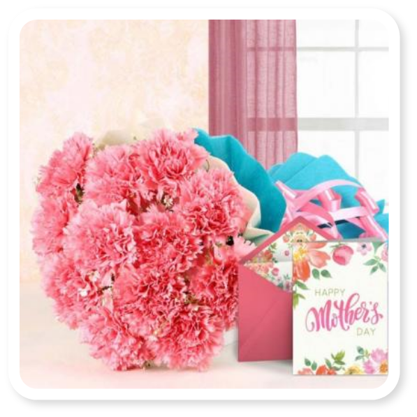 https://www.indiagift.in/media/images/mothersday/new23/Pink-Carnation-Bouquet.png