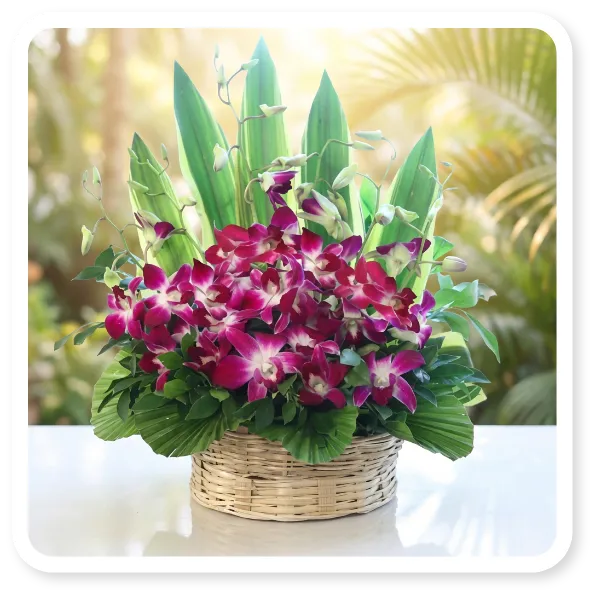 Lovely Orchids Basket