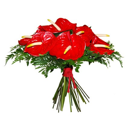 Anthurium Bouquet