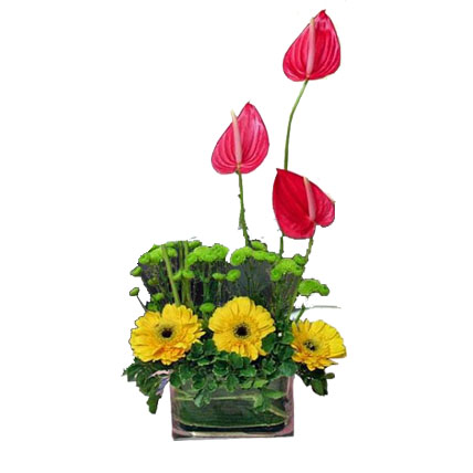 Anthurium & Gerbera Vase