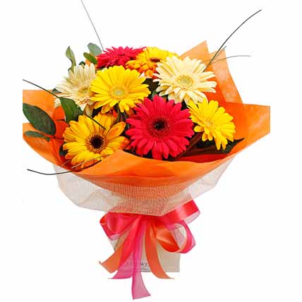 Mixed Gerbera Bouquet