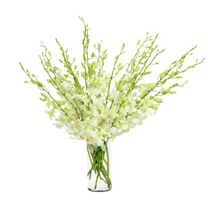 White Orchids Vase