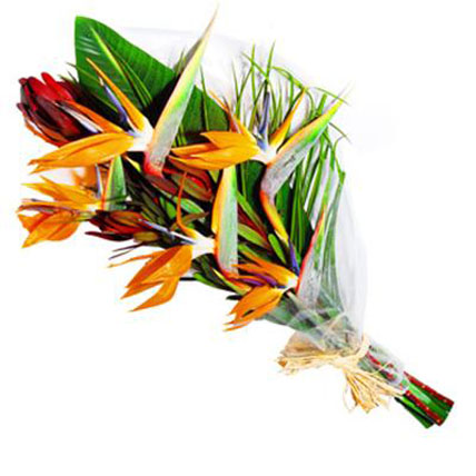 Bird of Paradise Bouquet