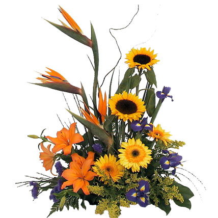 BOP & Gerbera Arrangement