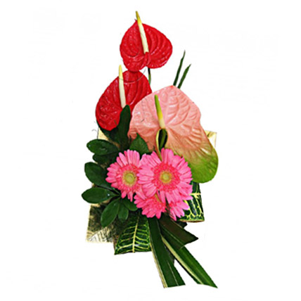 Anthurium & Gerbera Bouquet