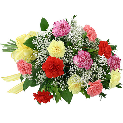 Mixed Carnation Basket