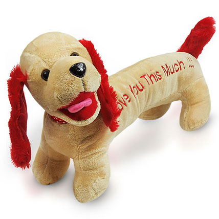 Puppy