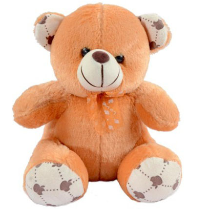 Valentine Teddy Bear Medium