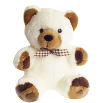 Valentine Teddy Bear 12 Inch