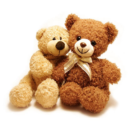 Teddy Bear Pair 12 Inch