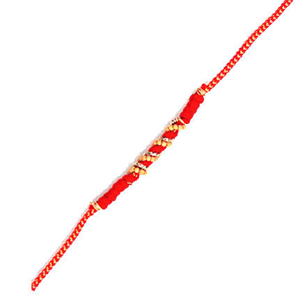 Special Brother Rakhi