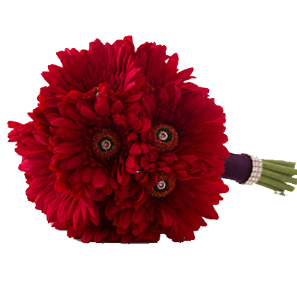 Valentine Red Gerberas