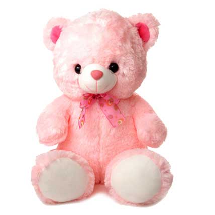 Valentine Pink Teddy