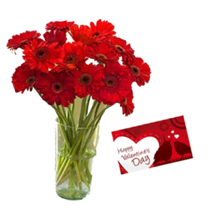 Valentine Red Gerberas Vase and Card