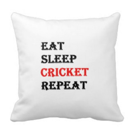 Game of Cricket Cushion