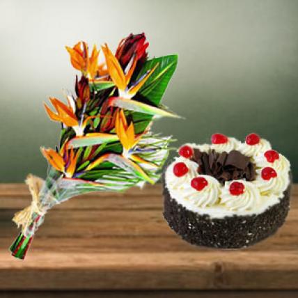 Bird of Paradise & Cake