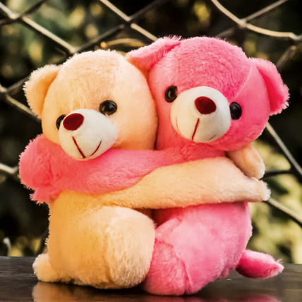 Hugging Teddy Pair