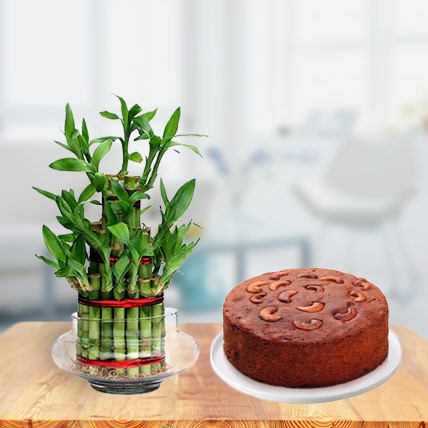 Plum Cake with Bamboo Plant Triple Layer