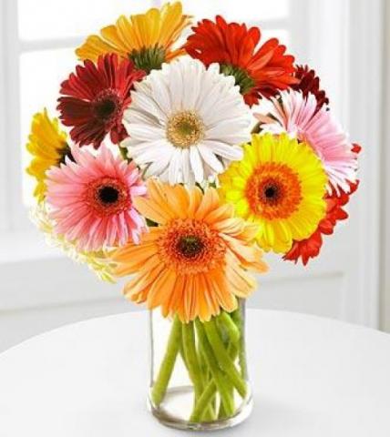 Valentine Mixed Gerbera Vase