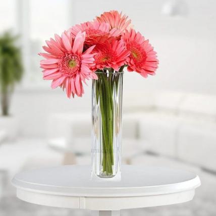 Valentine Pink Gerbera Vase