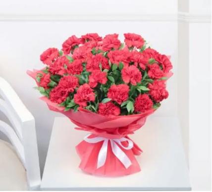 Valentine Red Carnation Bouquet